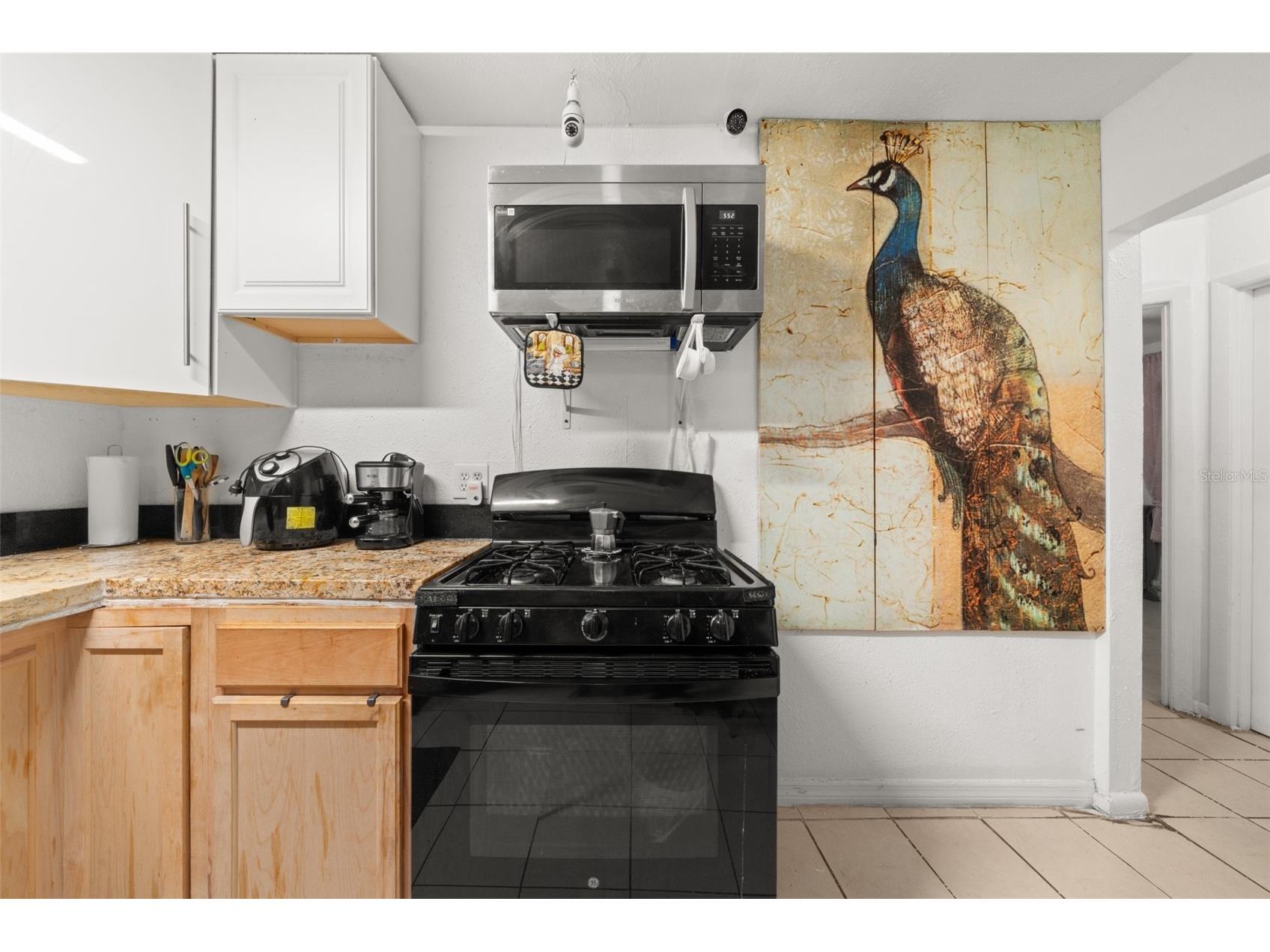 113 Anderson Street Lake Placid FL 33852 L4960875 image11