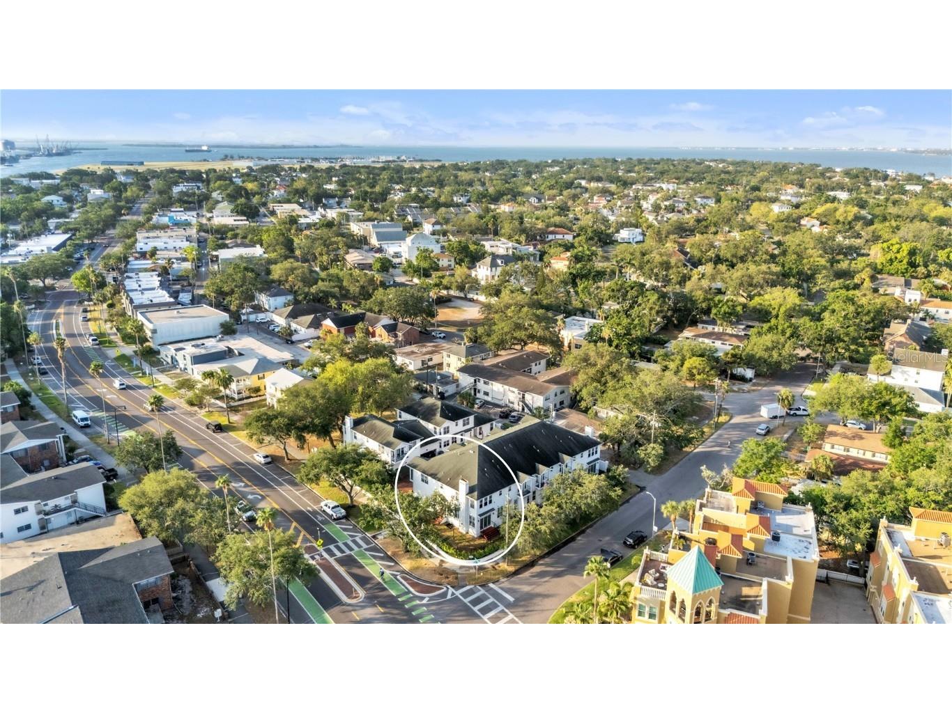 113 Bosphorous Avenue #5 Tampa FL 33606 TB8384167 image1