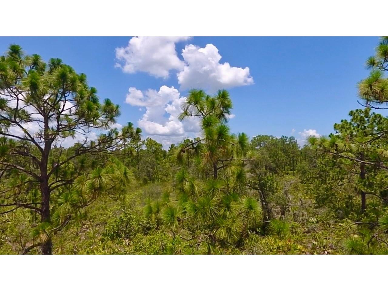 113 Bougainville Drive Indian Lake Estates FL 33855 - LAKE WEOHYAKAPKA L4954644 image1