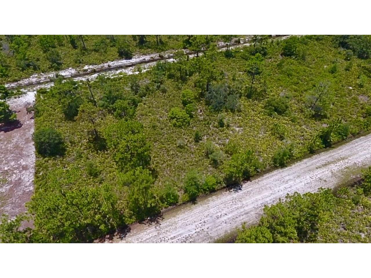 113 Bougainville Drive Indian Lake Estates FL 33855 - LAKE WEOHYAKAPKA L4954644 image3