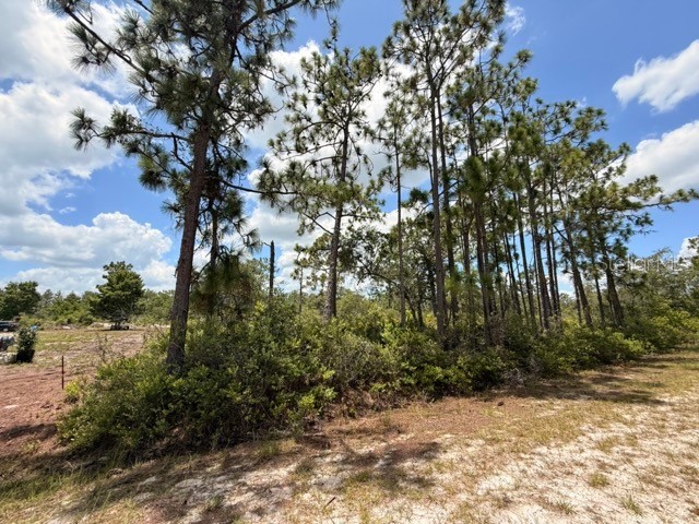 113 Bougainville Drive Indian Lake Estates FL 33855 - LAKE WEOHYAKAPKA L4954644 image6