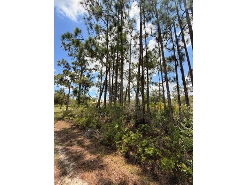 113 Bougainville Drive Indian Lake Estates FL 33855 - LAKE WEOHYAKAPKA L4954644 image7