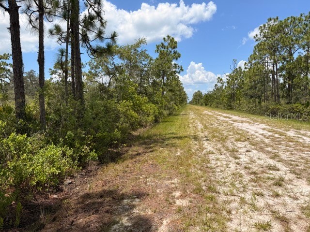 113 Bougainville Drive Indian Lake Estates FL 33855 - LAKE WEOHYAKAPKA L4954644 image8