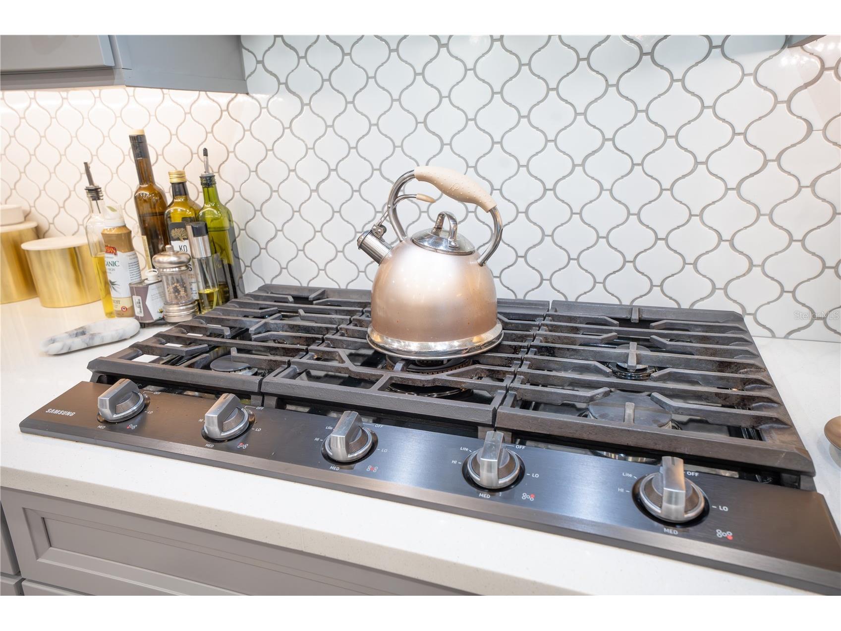 113 Brookover Lane Brandon FL 33511 L4962451 image48