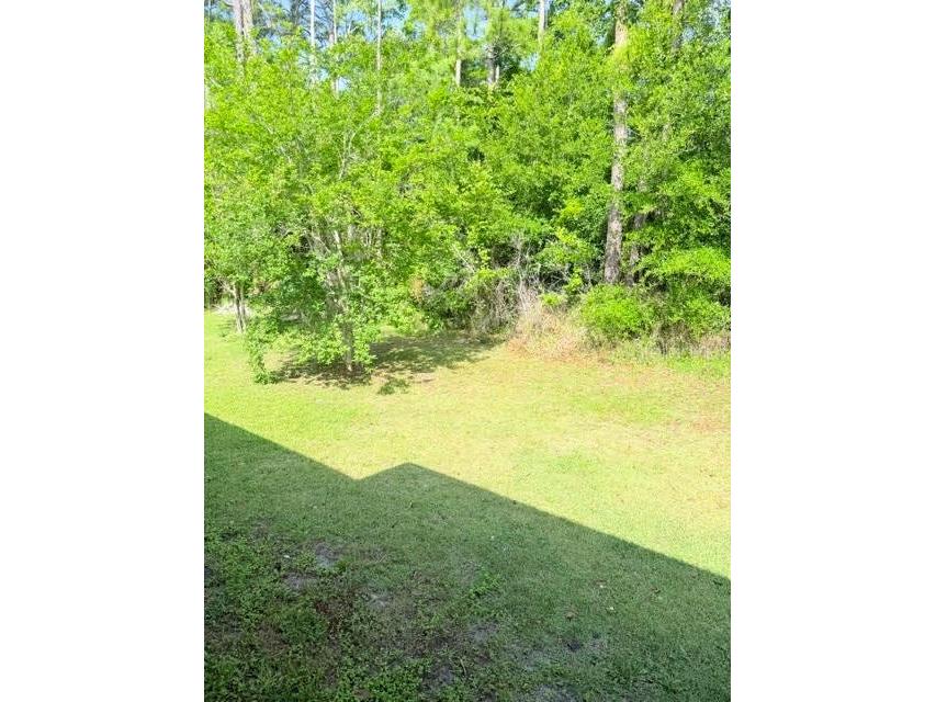 113 Brunswick Lane #A Palm Coast FL 32137 FC318188 image22