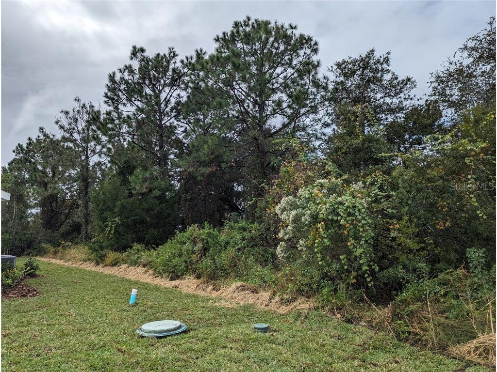 113 Bud Hollow Drive Palm Coast FL 32137 FC296155 image1