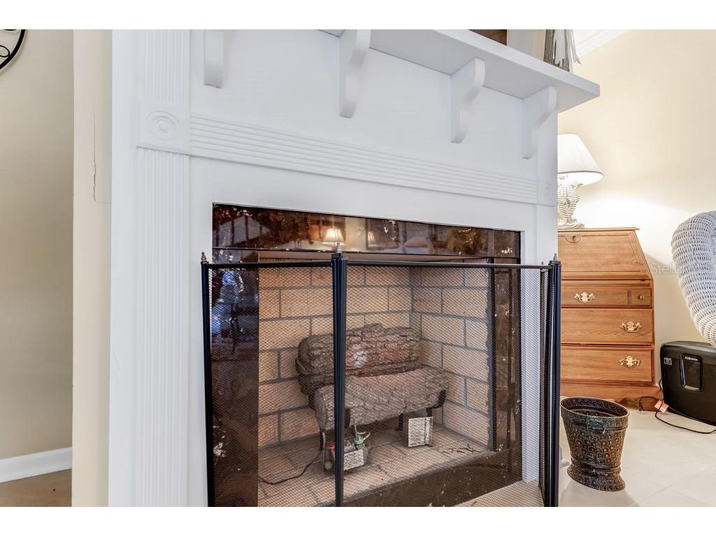 113 Cedar Dunes Drive New Smyrna Beach FL 32169 NS1086477 image5