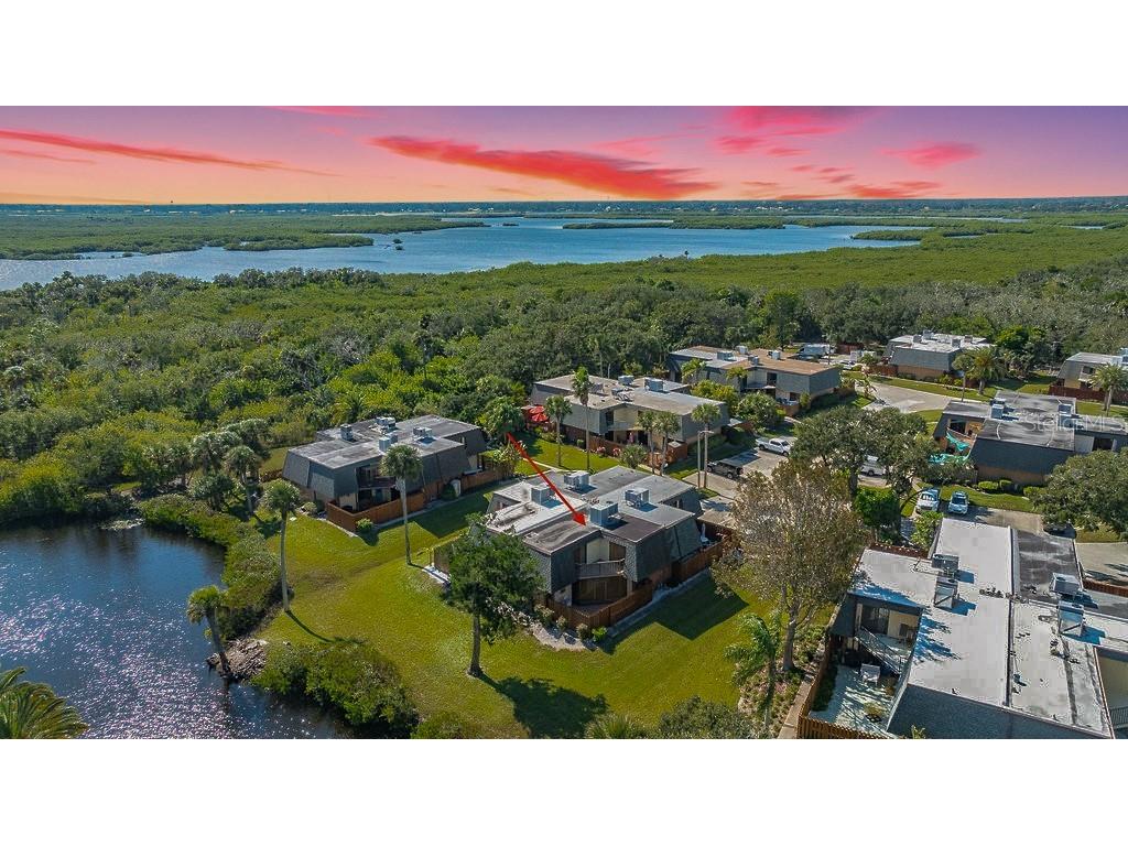113 Cedar Dunes Drive New Smyrna Beach FL 32169 NS1088443 image1