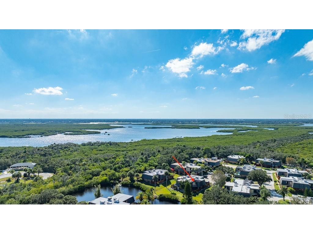 113 Cedar Dunes Drive New Smyrna Beach FL 32169 NS1088443 image51