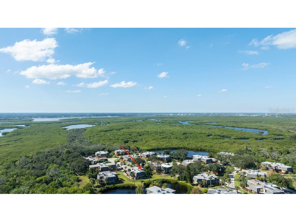113 Cedar Dunes Drive New Smyrna Beach FL 32169 NS1088443 image53
