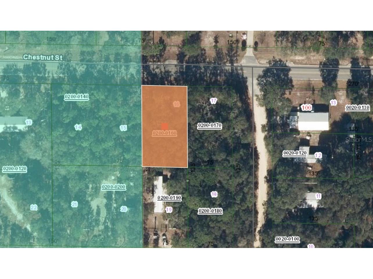 113 Chestnut Street Interlachen FL 32148 FC314354 image2