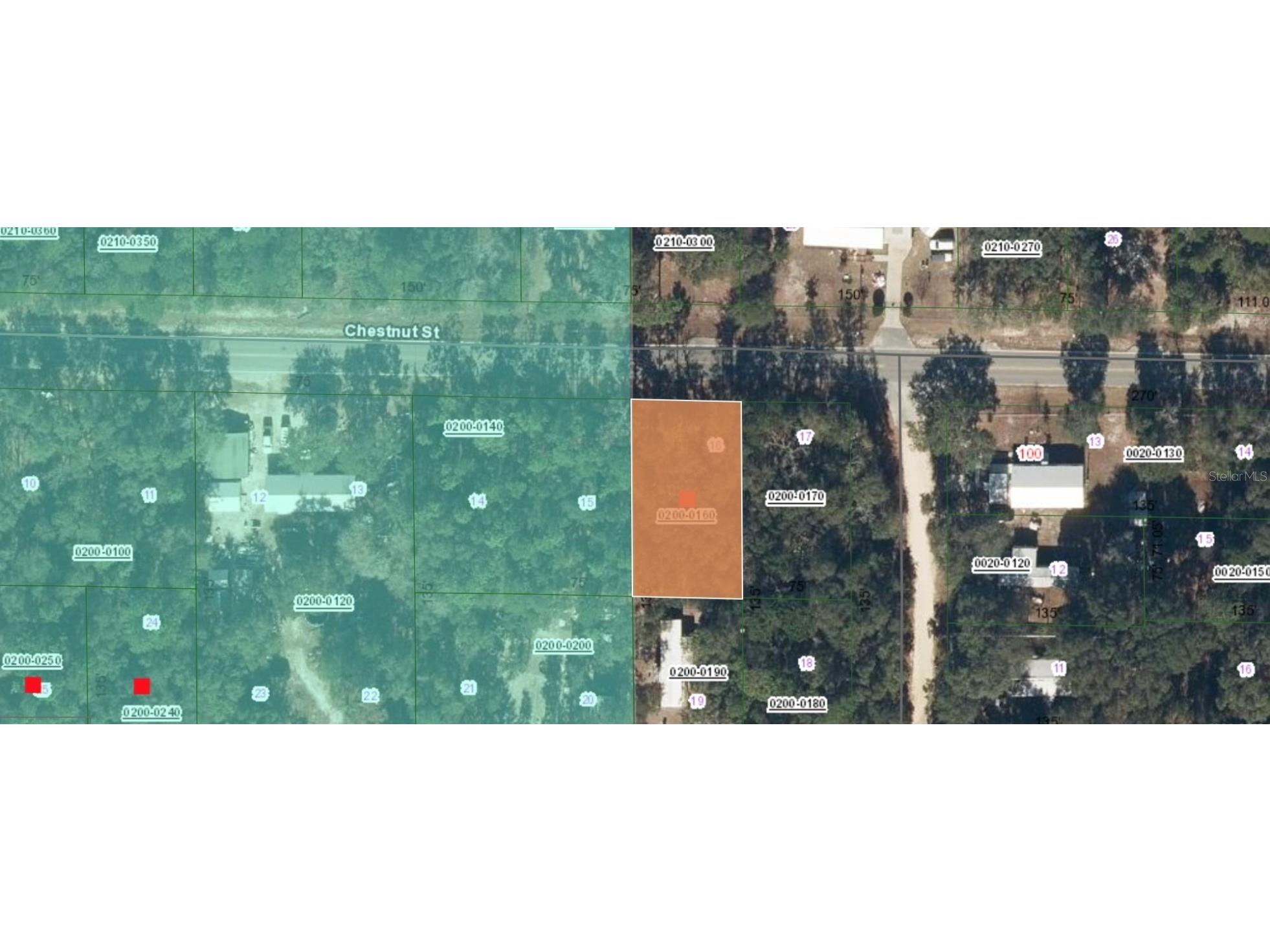 113 Chestnut Street Interlachen FL 32148 FC314354 image3