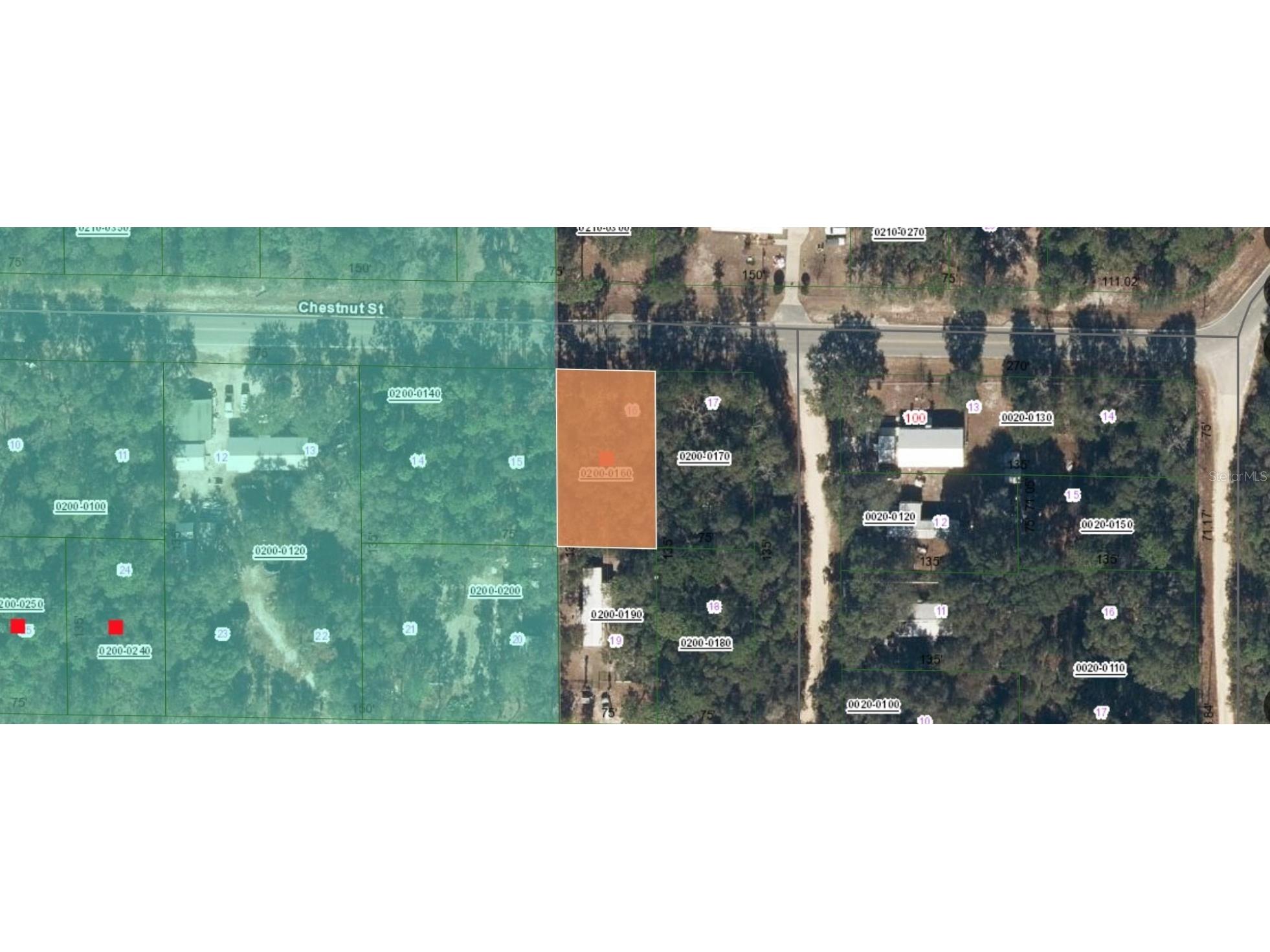 113 Chestnut Street Interlachen FL 32148 FC314354 image4