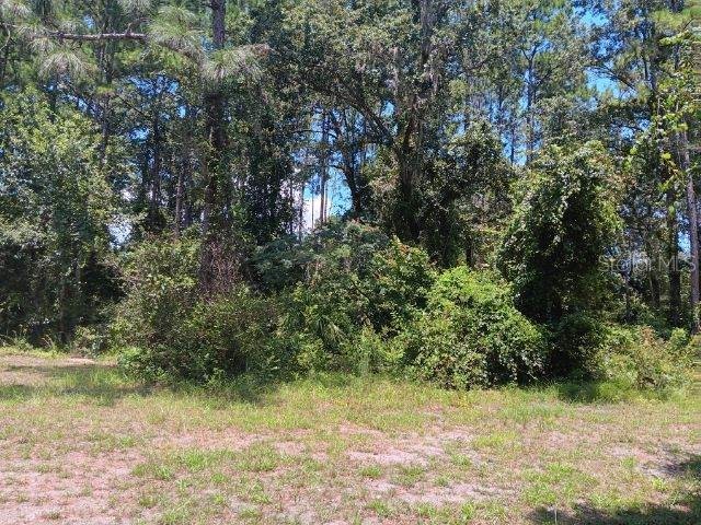 113 Click Road Satsuma FL 32189 FC293763 image1