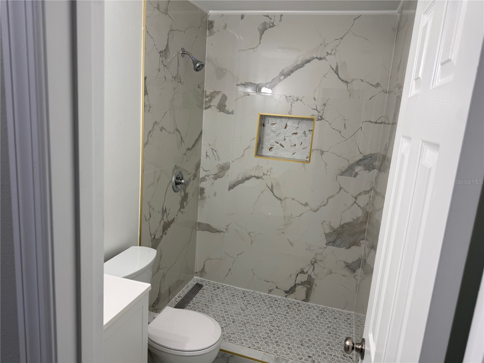 113 E Pearl Street Minneola FL 34715 S5141782 image13