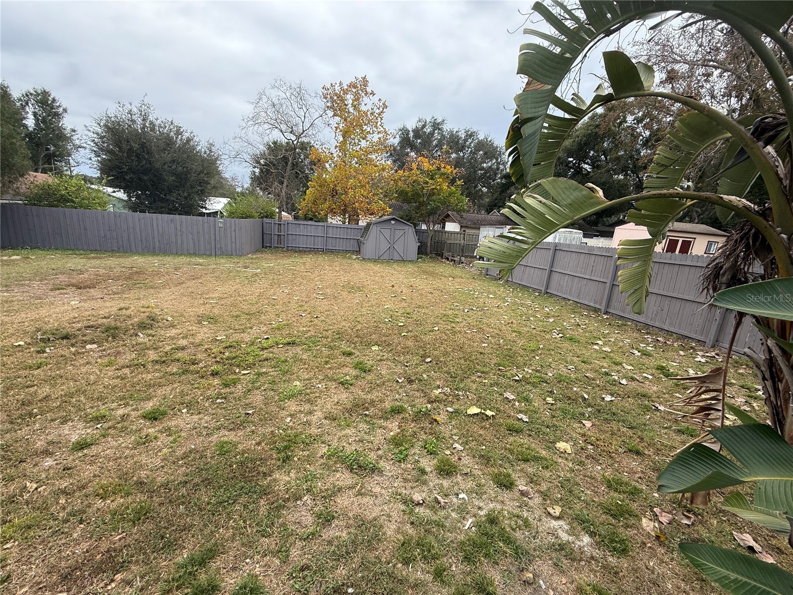 113 E Pearl Street Minneola FL 34715 S5141782 image30