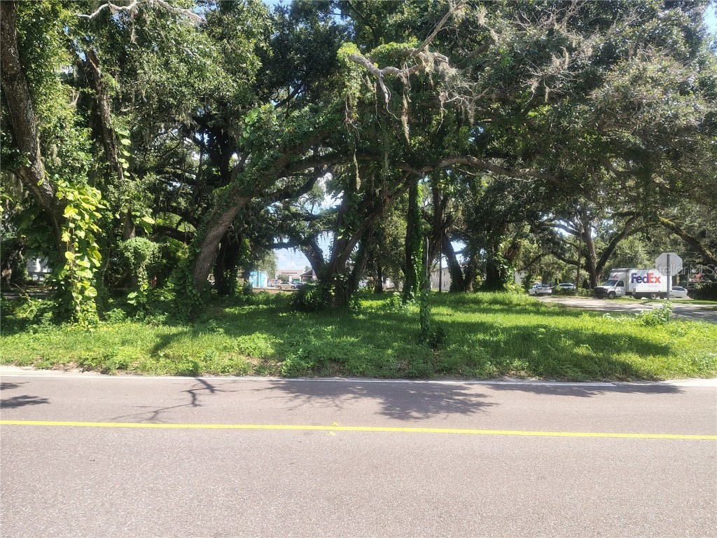 113 E Robertson Street Brandon FL 33511 TB8411713 image1