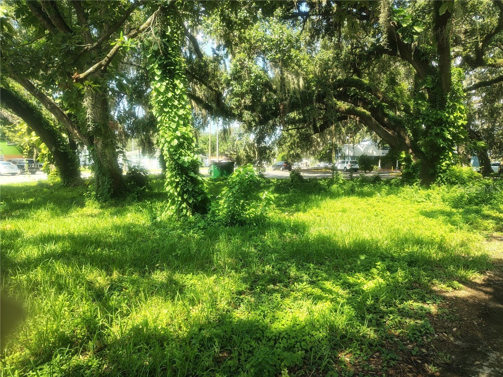 113 E Robertson Street Brandon FL 33511 TB8411713 image10