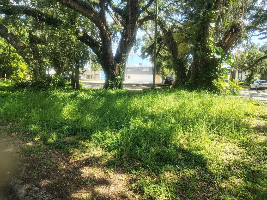 113 E Robertson Street Brandon FL 33511 TB8411713 image11