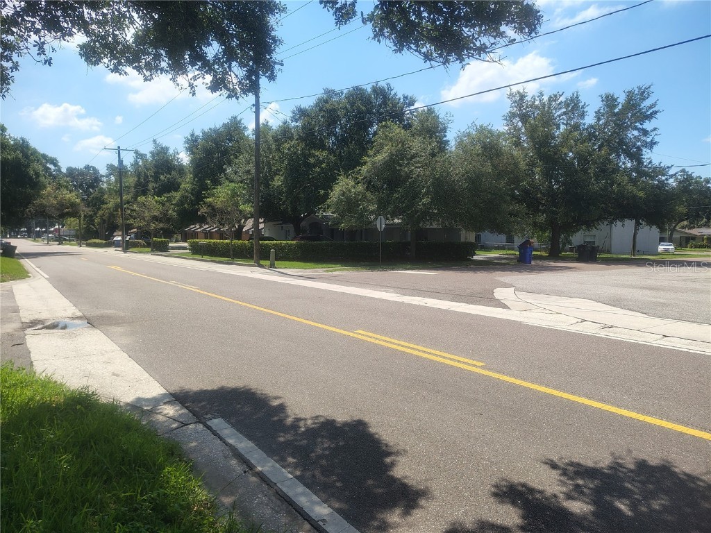 113 E Robertson Street Brandon FL 33511 TB8411713 image15