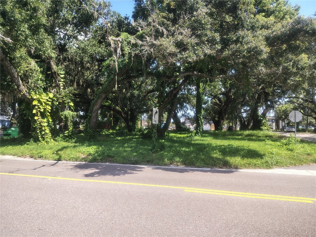 113 E Robertson Street Brandon FL 33511 TB8411713 image2