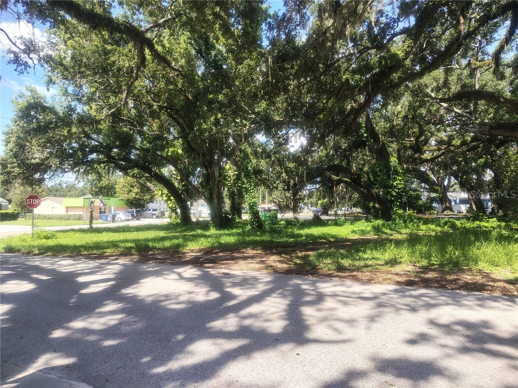 113 E Robertson Street Brandon FL 33511 TB8411713 image3