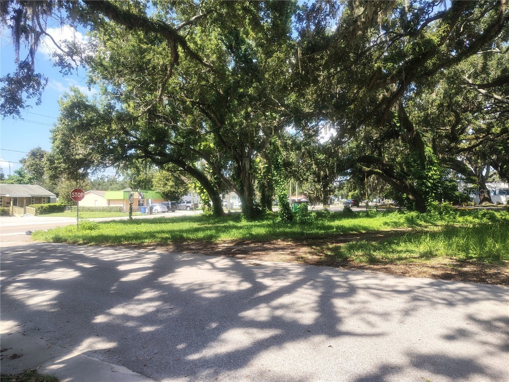 113 E Robertson Street Brandon FL 33511 TB8411713 image4