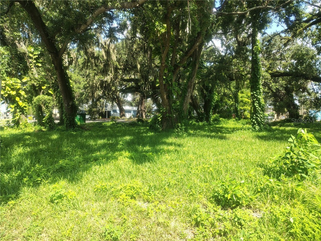 113 E Robertson Street Brandon FL 33511 TB8411713 image5