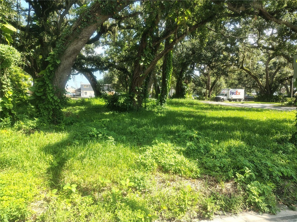 113 E Robertson Street Brandon FL 33511 TB8411713 image7