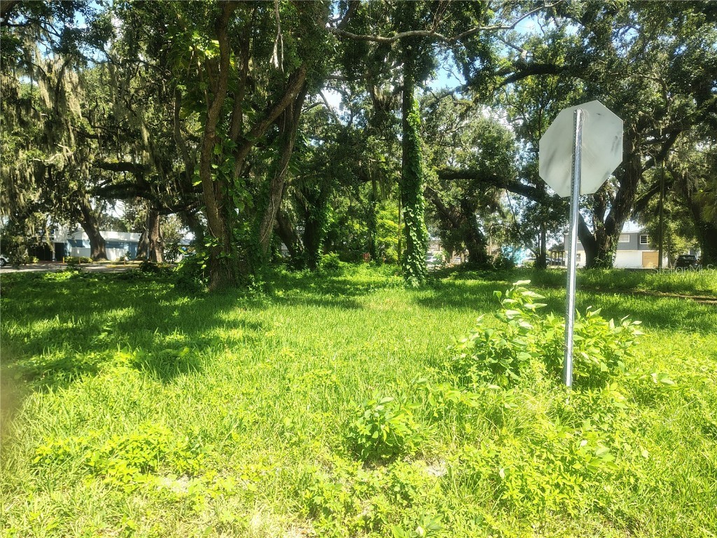 113 E Robertson Street Brandon FL 33511 TB8411713 image8