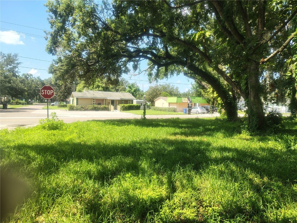 113 E Robertson Street Brandon FL 33511 TB8411713 image9