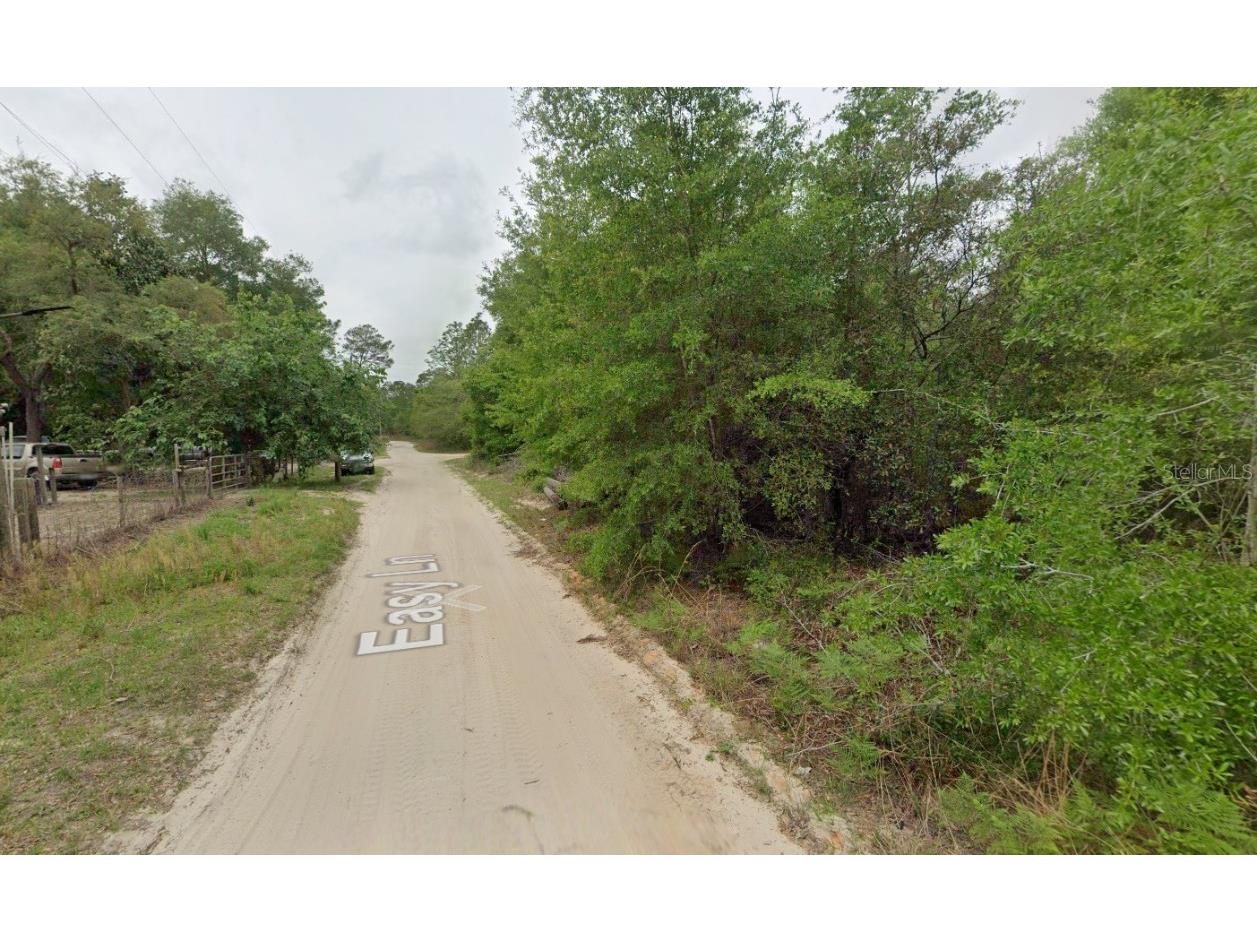 113 Easy Lane Satsuma FL 32189 OK225572 image2