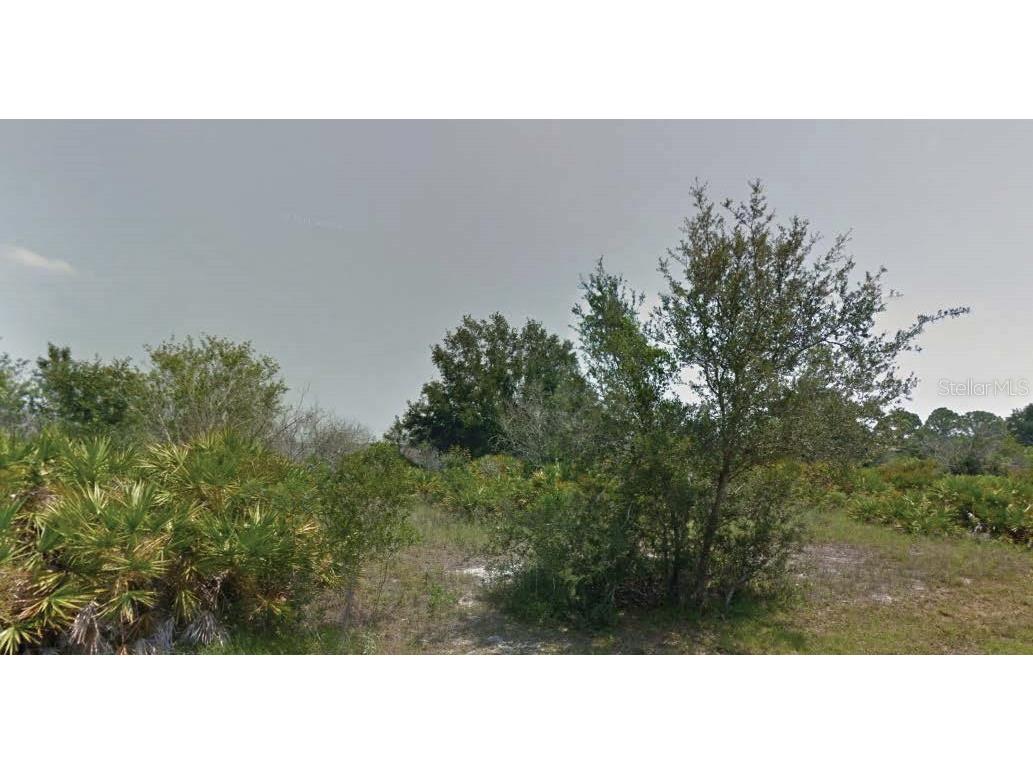 113 Edenwald Avenue NW Lake Placid FL 33852 O6311223 image1
