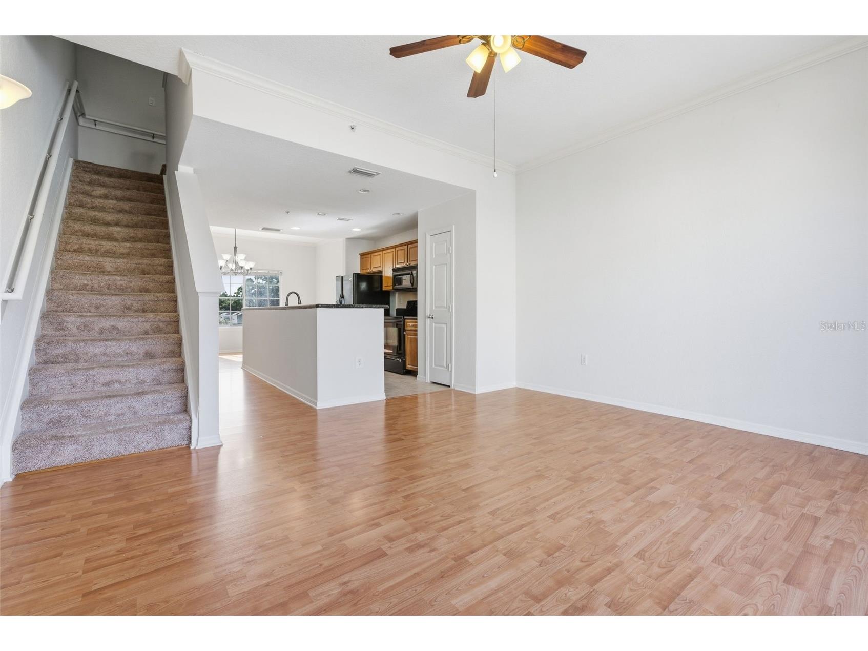 113 Grand Beach Place Tampa FL 33609 TB8518319 image20