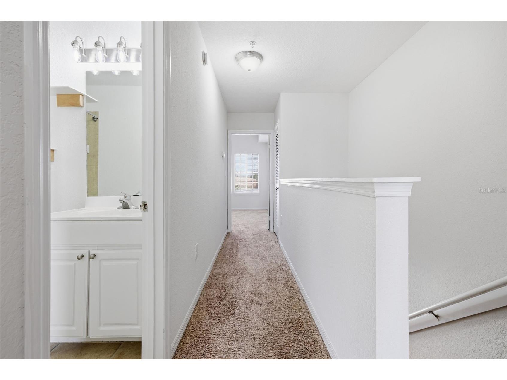 113 Grand Beach Place Tampa FL 33609 TB8518319 image24
