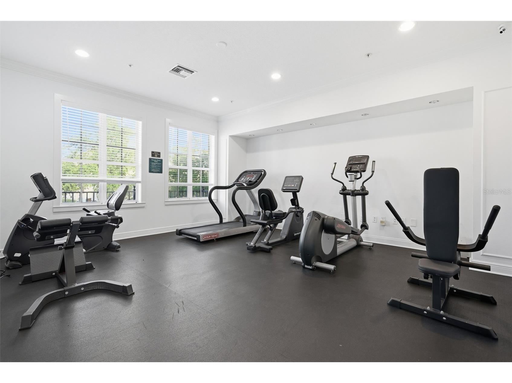 113 Grand Beach Place Tampa FL 33609 TB8518319 image42