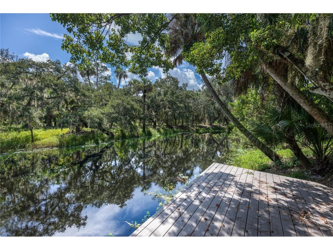 113 Jane Creek Geneva FL 32732 - JANE CREEK O6341778 image1