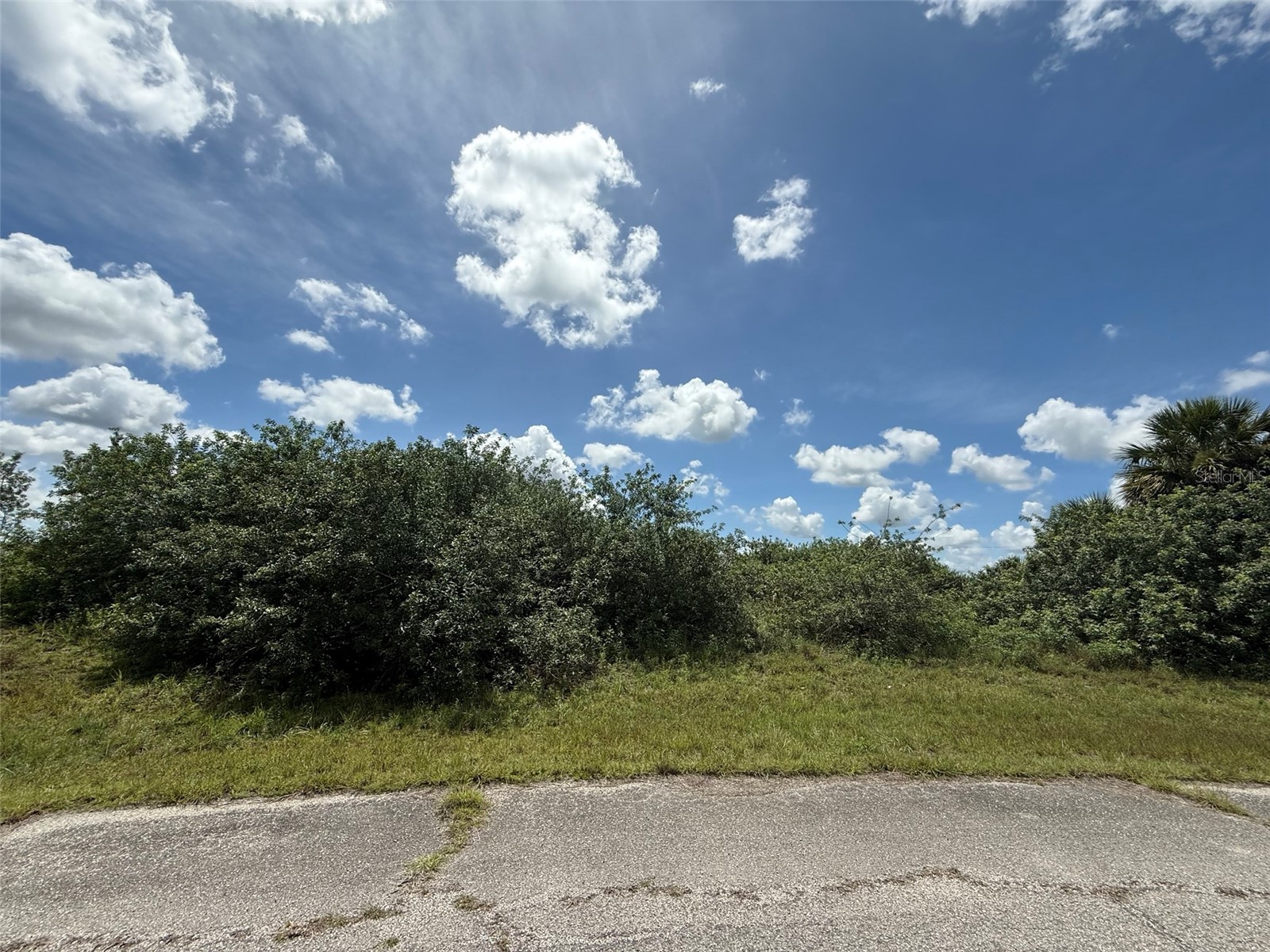 113 Liberty Terrace Labelle FL 33935 OK225460 image1