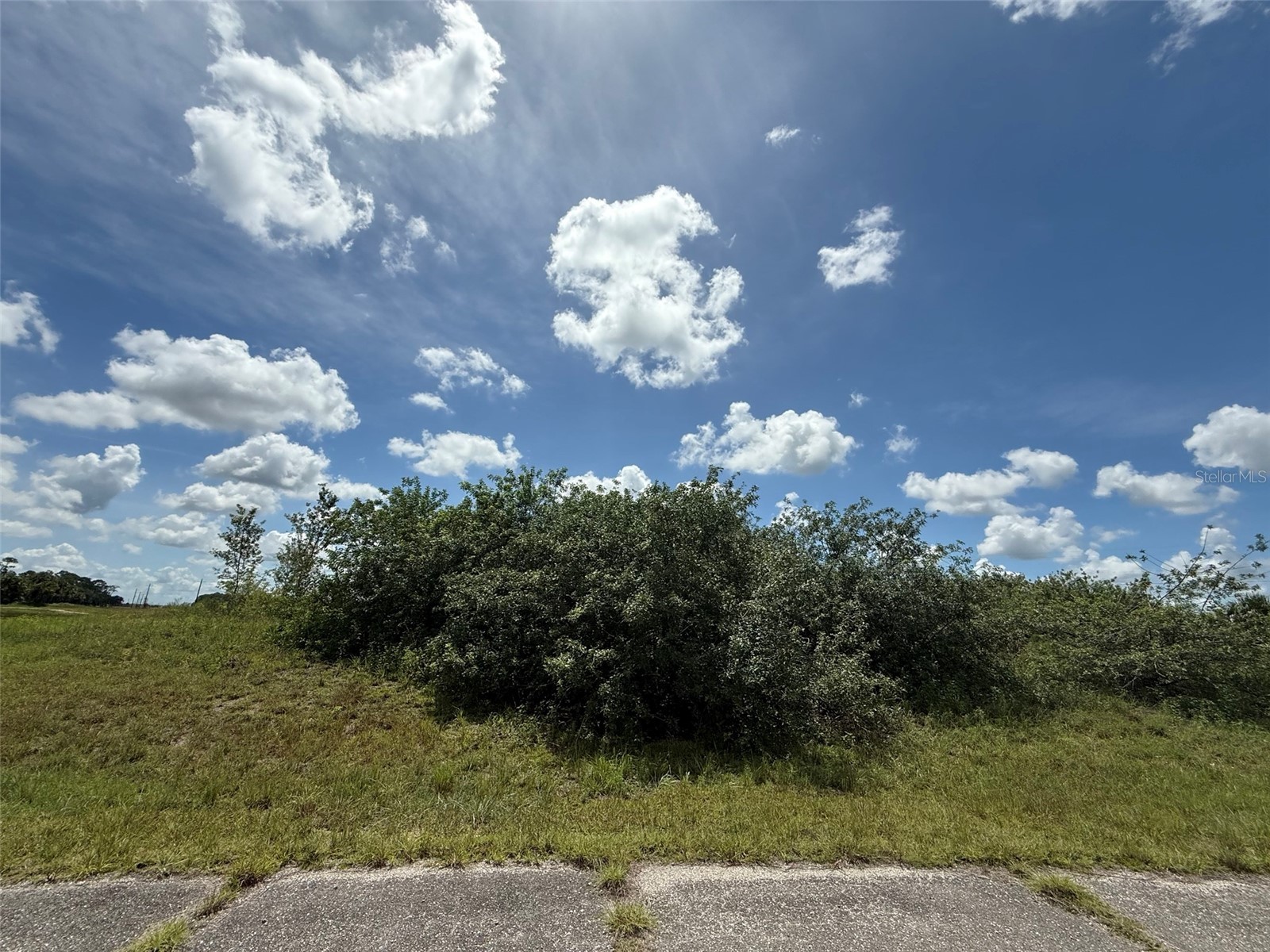 113 Liberty Terrace Labelle FL 33935 OK225460 image2