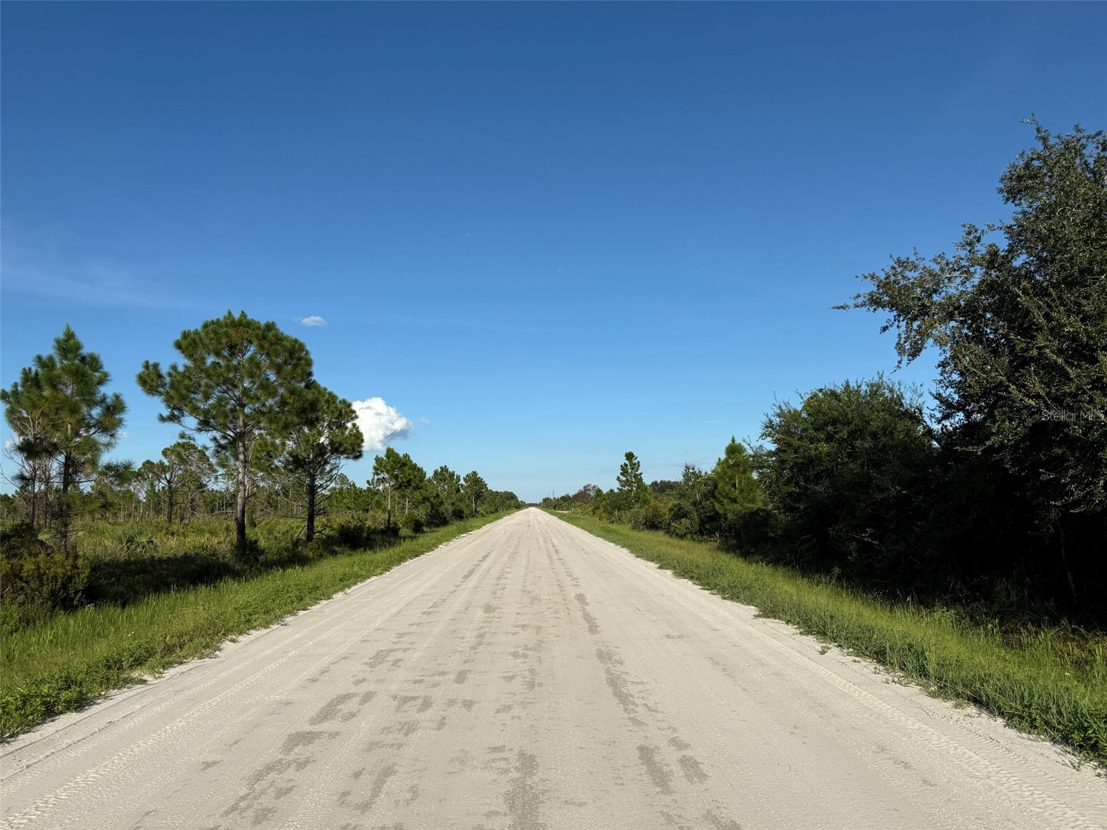 113 Liberty Terrace Labelle FL 33935 OK225460 image3