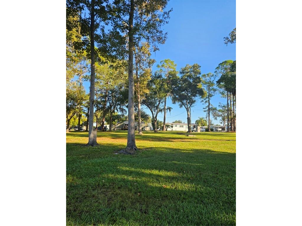 113 Maple Drive Debary FL 32713 - ST JOHNS RIVER S5137741 image36