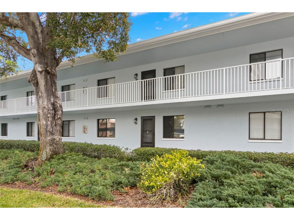 113 Martha Lane #113 Oldsmar FL 34677 U8227133 image1