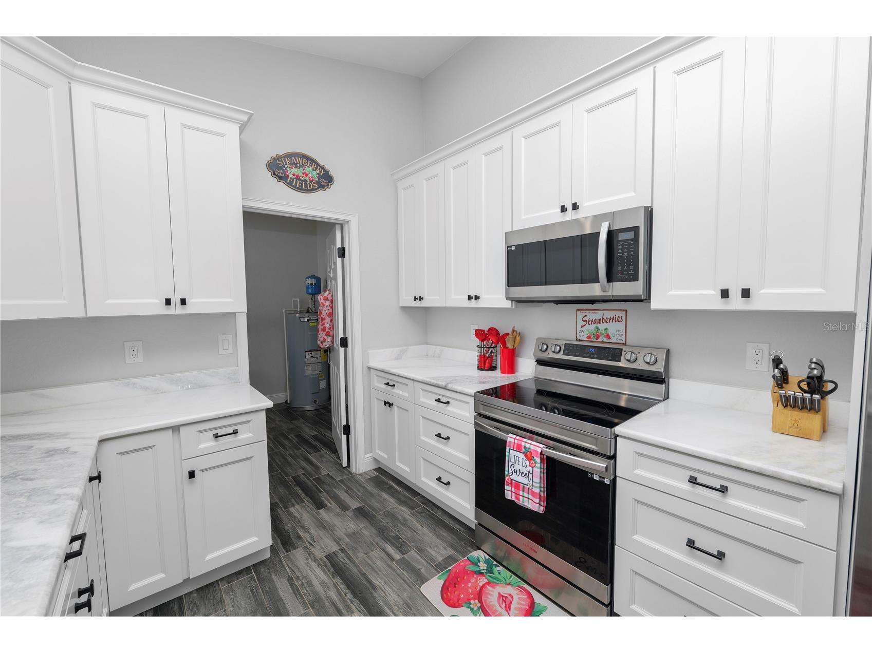 113 Mckean Street Auburndale FL 33823 L4960408 image18