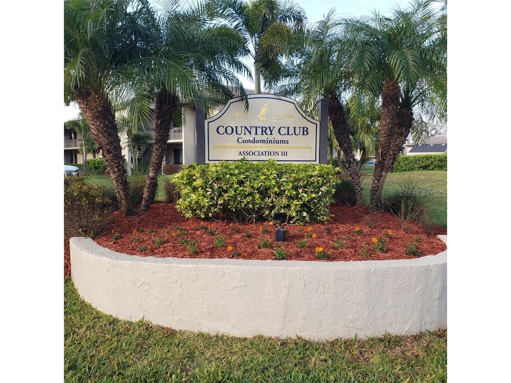 113 Nina Way #113 Oldsmar FL 34677 TB8366634 image1