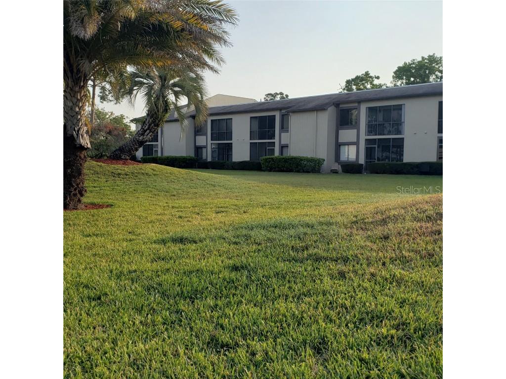 113 Nina Way #113 Oldsmar FL 34677 TB8366634 image4