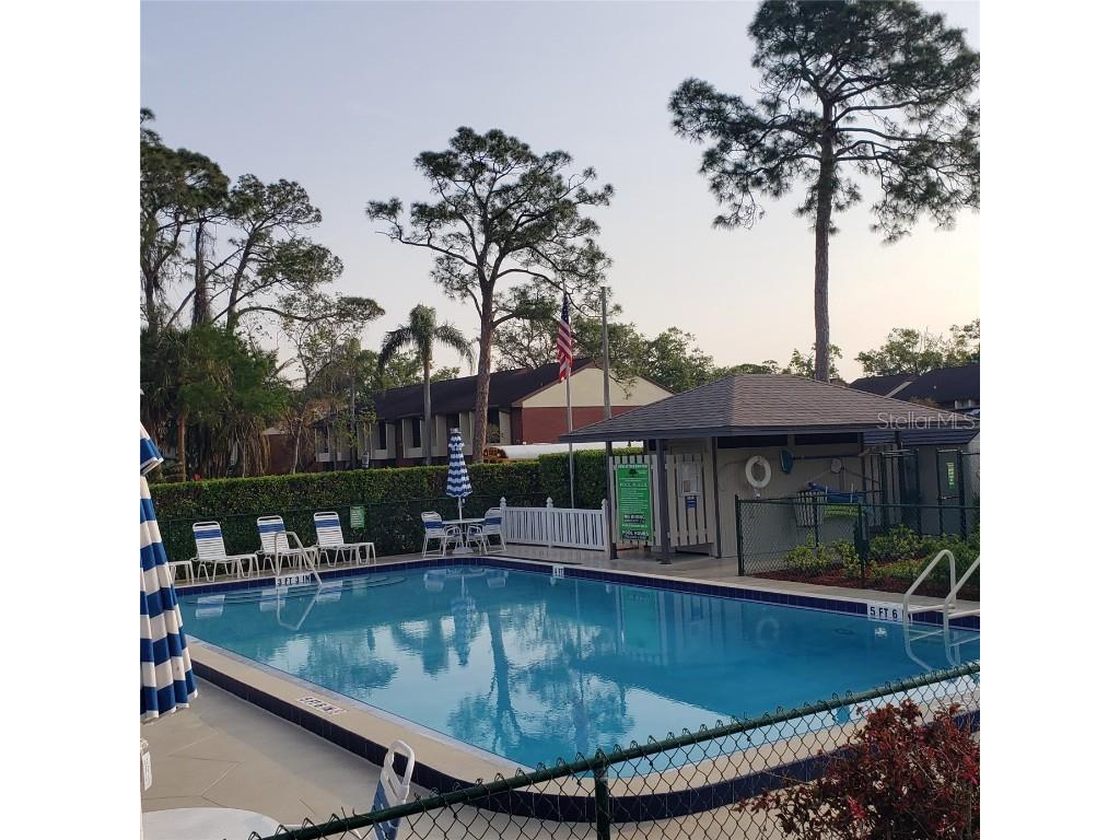 113 Nina Way #113 Oldsmar FL 34677 TB8366634 image5