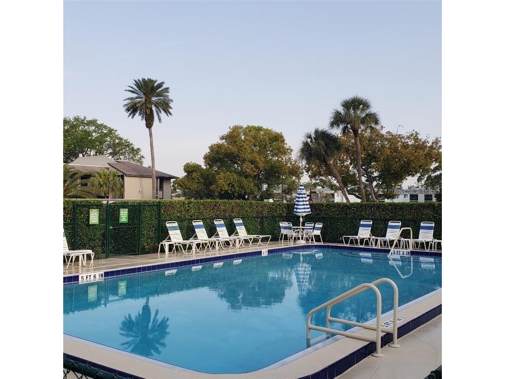 113 Nina Way #113 Oldsmar FL 34677 TB8366634 image6