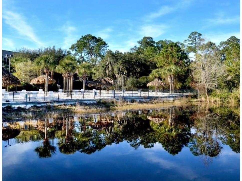 113 Rogues Retreat Davenport FL 33897 O6231826 image17