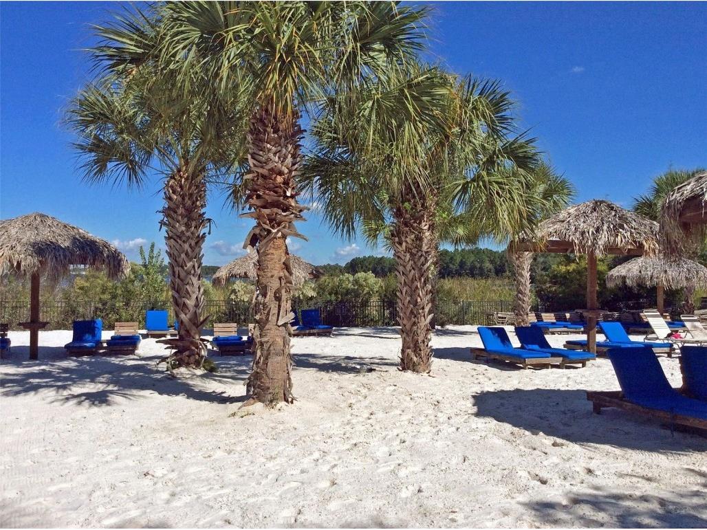 113 Rogues Retreat Davenport FL 33897 O6231826 image5