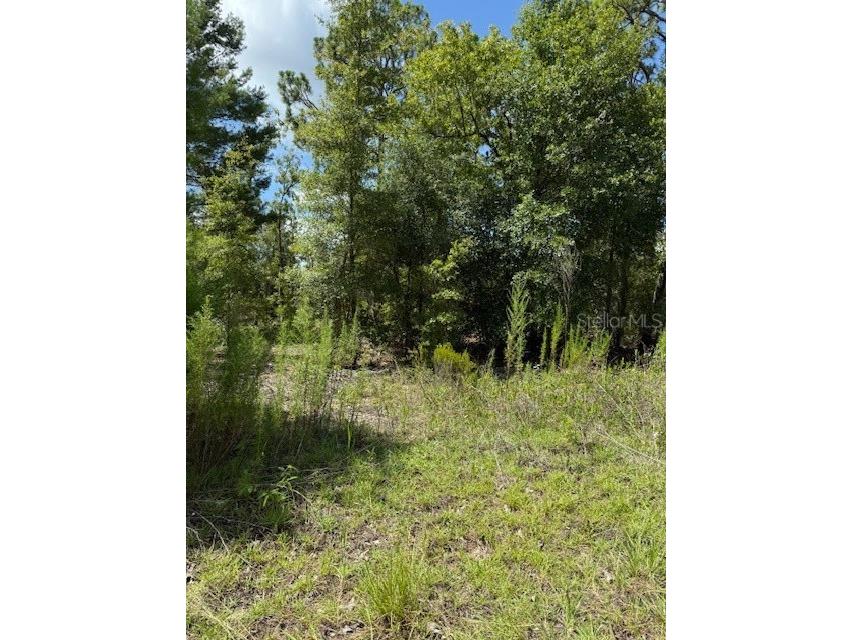 113 S Dakota Street Hawthorne FL 32640 OM706626 image1